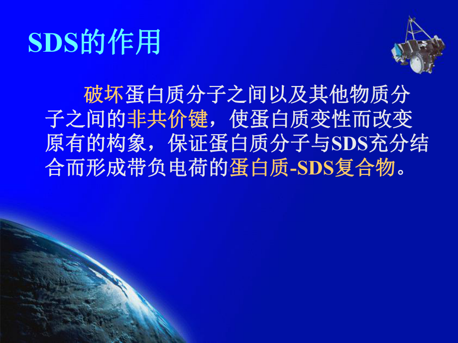 SDS-聚丙烯酰胺凝胶电泳课件.ppt_第3页