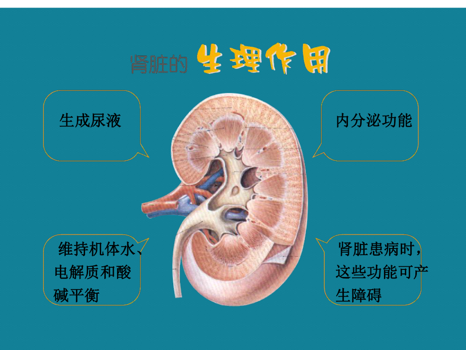 (优选)科普慢性肾脏病的中西医防治方法课件.ppt_第2页