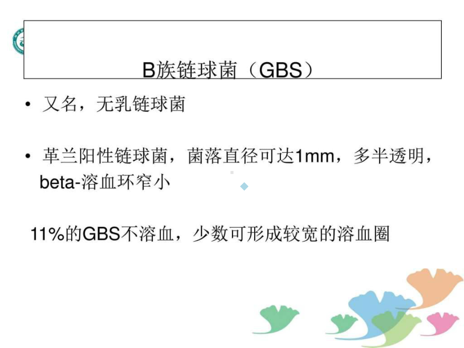 B族链球菌孕期筛查-图文课件.ppt_第2页