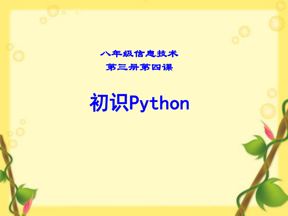 初中信息技术优质课件-初识Python（课件）.ppt_第1页