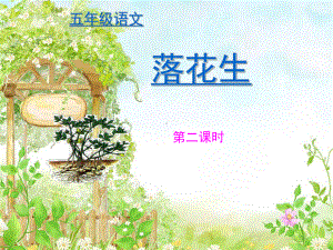 《落花生》讲公开课第二课时(课堂PPT)课件.ppt