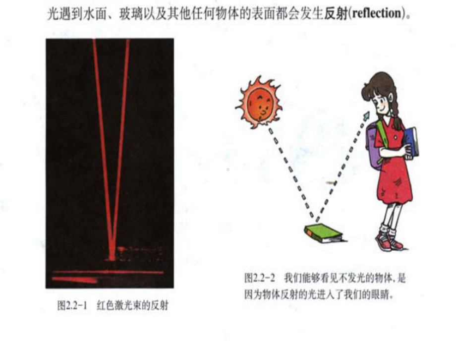 新人教版八年级物理--光的反射-课件.ppt_第3页