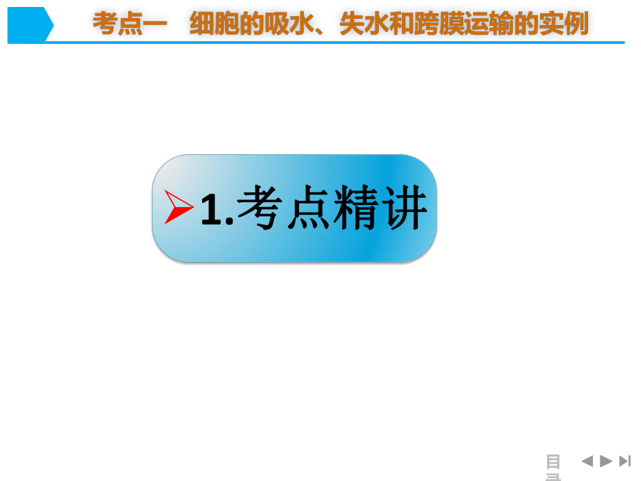 一轮复习物质跨膜运输的实例和方式-PPT课件.ppt_第3页