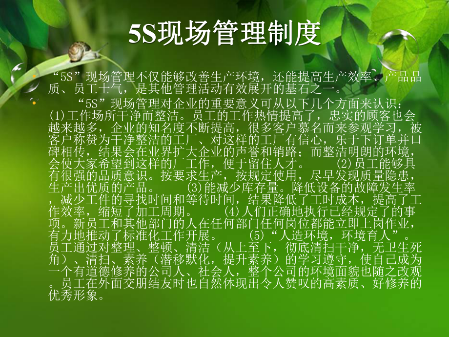 5S现场管理制度课件.pptx_第2页