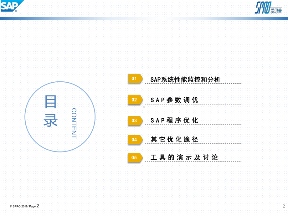 SAP性能优化的培训课件.pptx_第2页