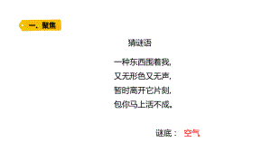 2022新青岛版（六三制） 五年级下册科学6.空气的成分 ppt课件.pptx