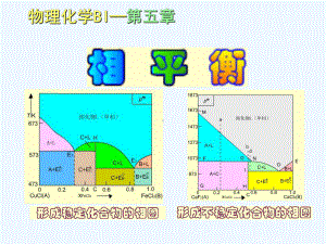 大学物理化学经典课件5-1-相图.ppt