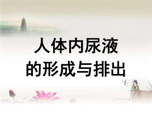 人体内尿液的形成与排出ppt课件.ppt