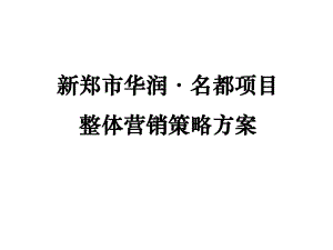 XXXX年河南某商业中心项目整体营销策略方案课件.ppt