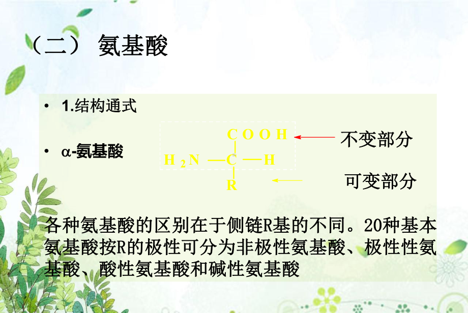 大学生物化学课件最全的文稿演示.ppt_第3页