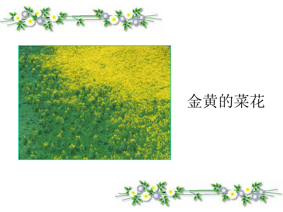 二年级上册《植物妈妈有办法》课件.ppt_第2页