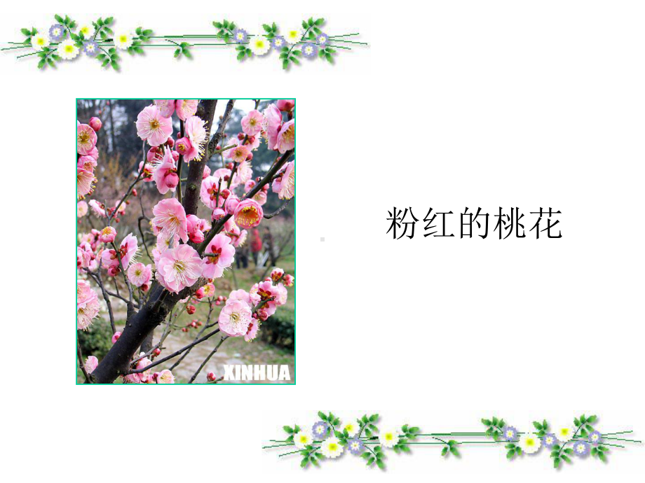 二年级上册《植物妈妈有办法》课件.ppt_第3页