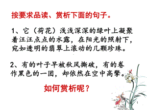 初中中考语文语句赏析专题讲解学习课件.ppt