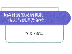 IgA肾病的发病机制临床与病理及治疗课件.pptx