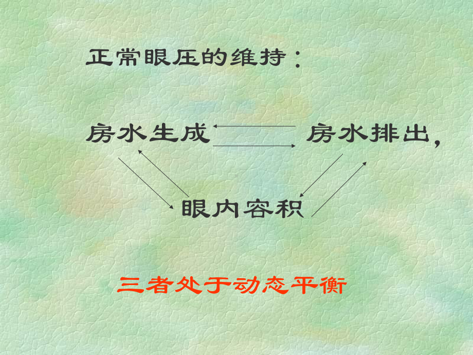 中医眼科学青光眼课件.pptx_第3页