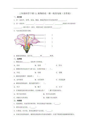 青岛版三年级科学下册11.植物的花一课一练一课一练习题（含答案）.docx