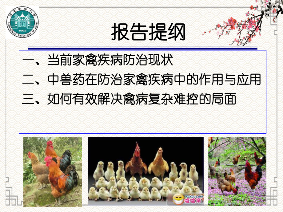 中兽药在家禽病毒病防治中的应用课件.ppt_第3页