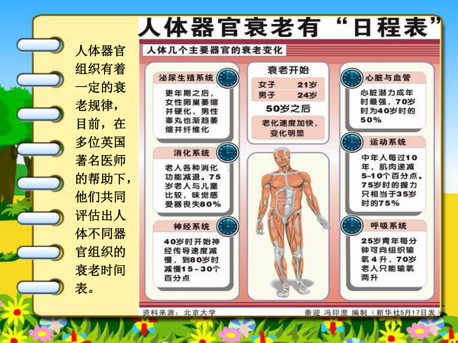 人体器官衰老时间课件.pptx_第2页