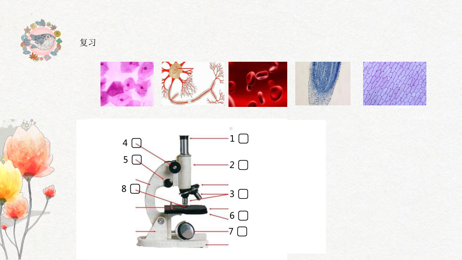 2022新冀人版五年级下册科学第13课看不见的微生物ppt课件.pptx_第3页