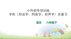 小升初总复习字形(同音字、形声字、形近字等)专项训练课件-精品.pptx