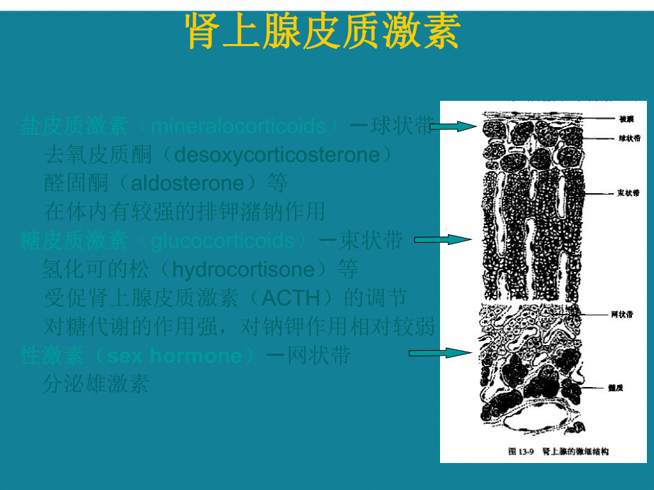 (优选)糖皮质激素及在儿童疾病中的应用课件.ppt_第3页