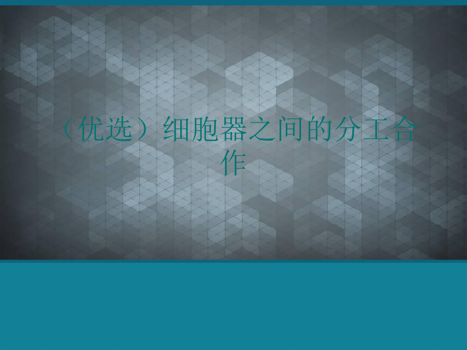 (优选)细胞器之间的分工合作课件.ppt_第1页