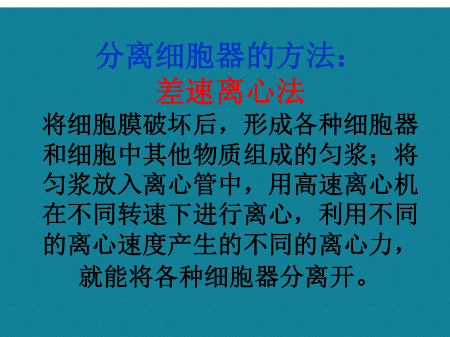 (优选)细胞器之间的分工合作课件.ppt_第2页