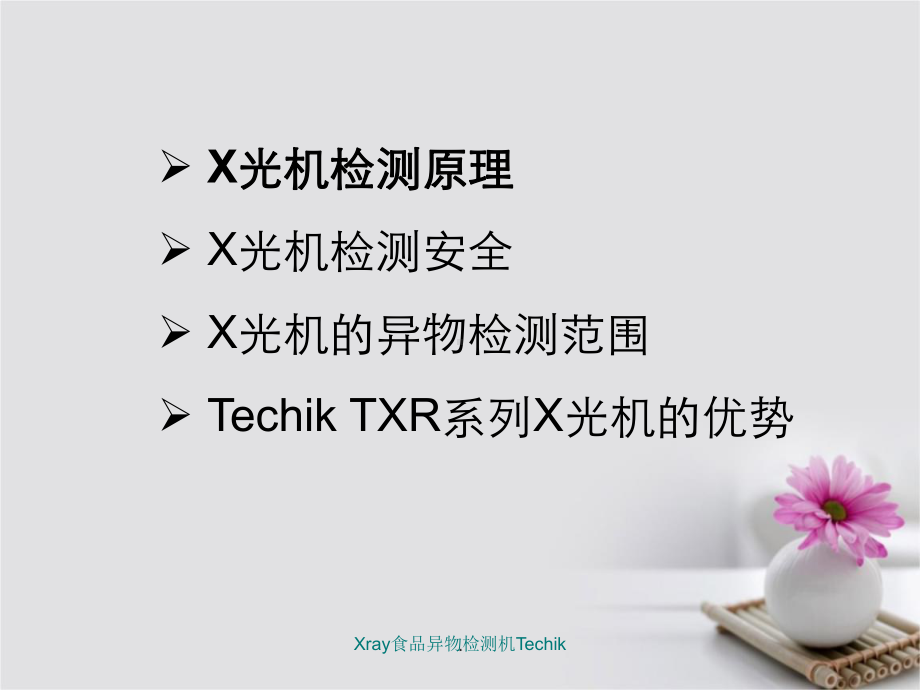 Xray食品异物检测机Techik课件.ppt_第3页