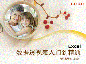 Excel数据透视表入门到精通课件.ppt