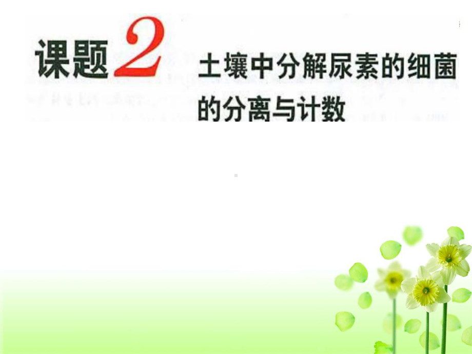 人教版高中生物选修1专题2课题2土壤中分解尿素的细菌的分离(共29页)课件.ppt_第1页