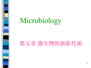 大学课程微生物第五章-微生物的代谢课件.ppt