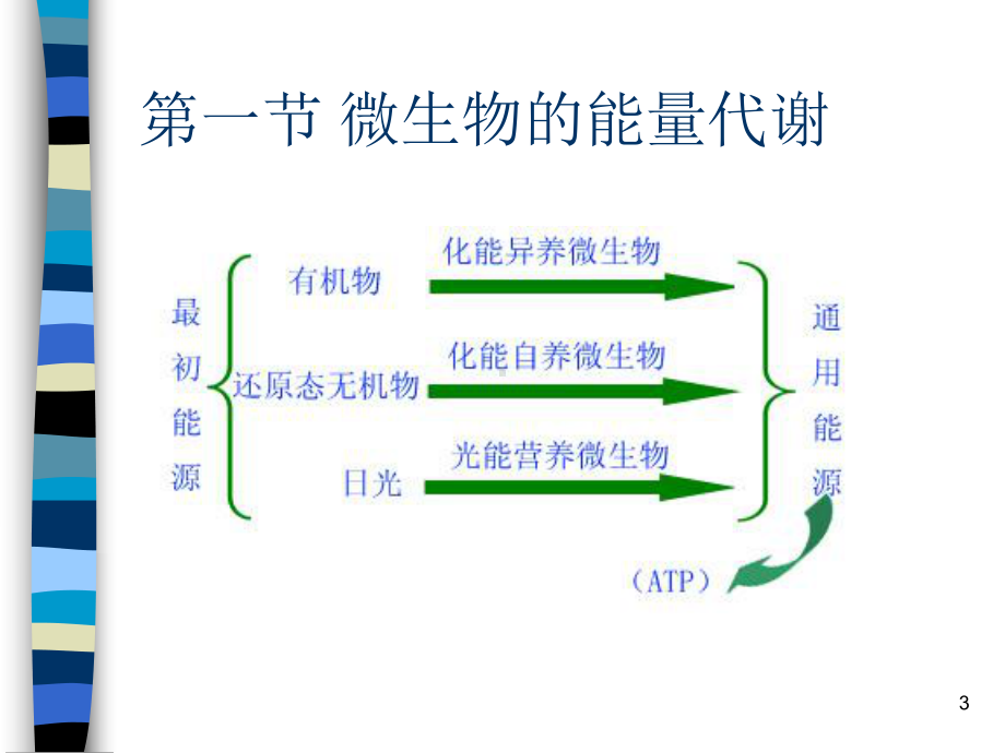 大学课程微生物第五章-微生物的代谢课件.ppt_第3页