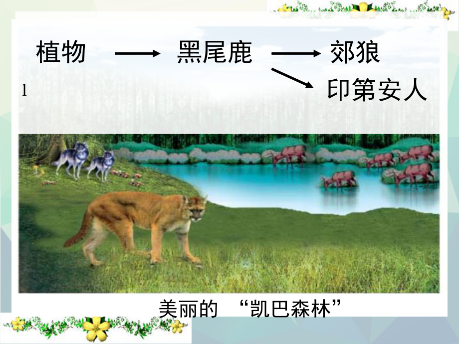 北师大版八年级生物下册课件：234生态系统的稳定性(共59张PPT).ppt_第3页