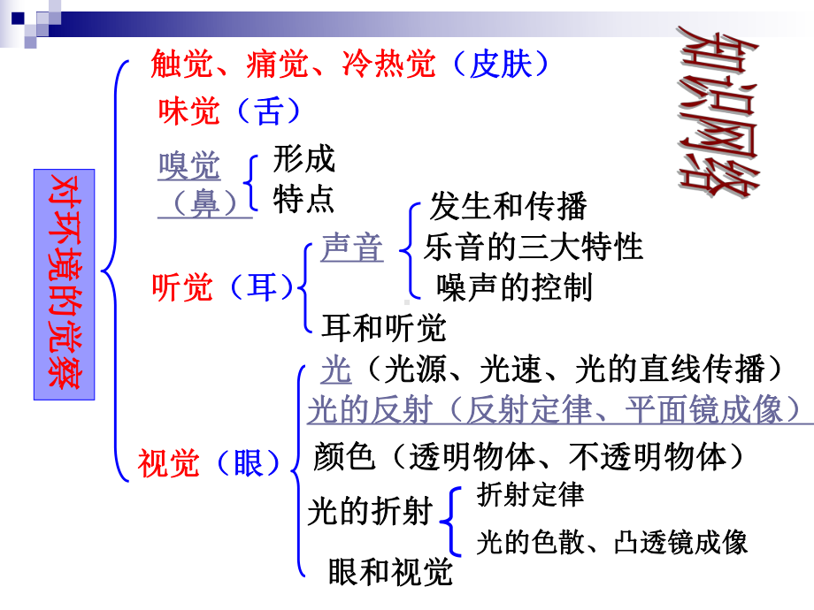 对环境的察觉复习精品PPT课件.pptx_第2页