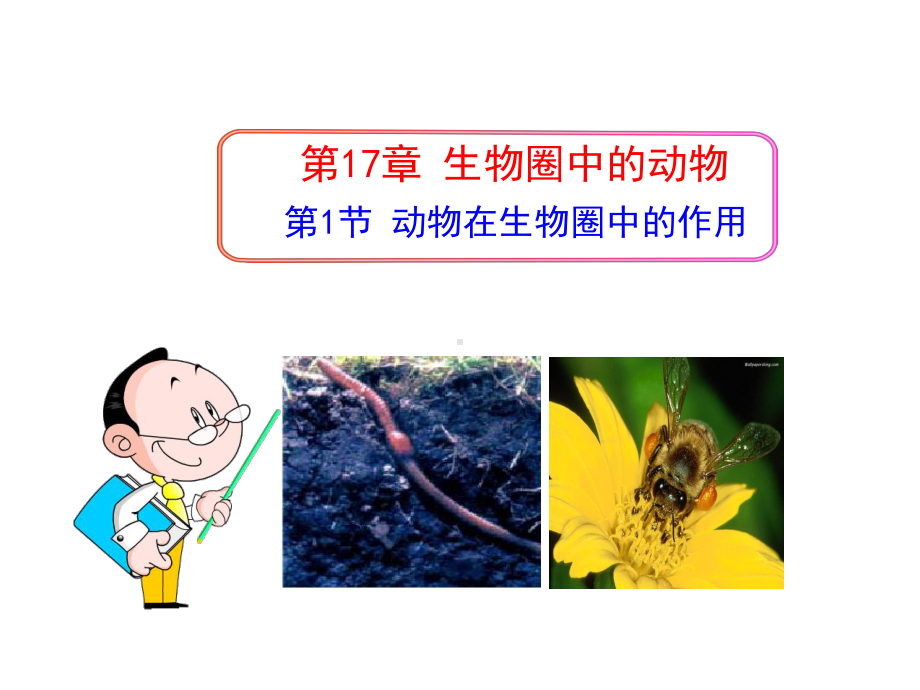 北师大版生物八年级上册课件.pptx_第1页