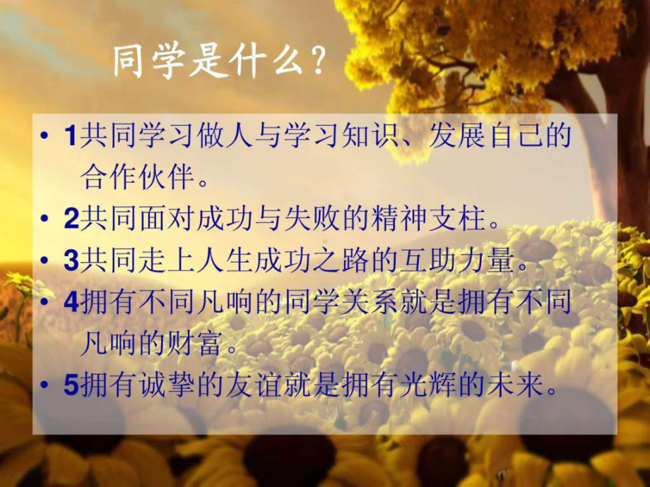 团结友爱和睦共处主题班会.ppt课件.ppt_第3页