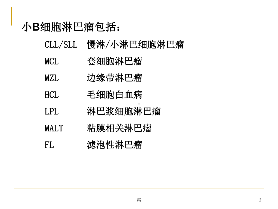 小B细胞淋巴瘤的诊断、鉴别与治疗课件.ppt_第2页