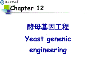 CHAPTER12酵母基因工程课件.pptx