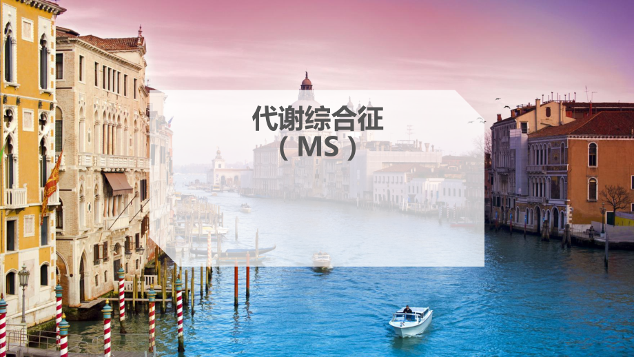 代谢综合征(MS)解析课件.ppt_第1页