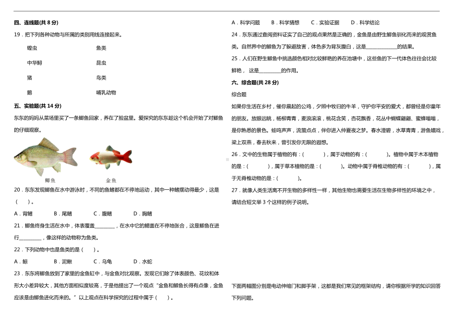 2022新教科版六年级下册科学期中阶段模拟评价卷（含答案）.doc_第2页