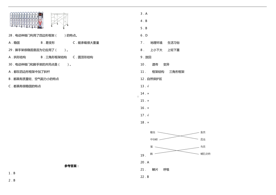 2022新教科版六年级下册科学期中阶段模拟评价卷（含答案）.doc_第3页