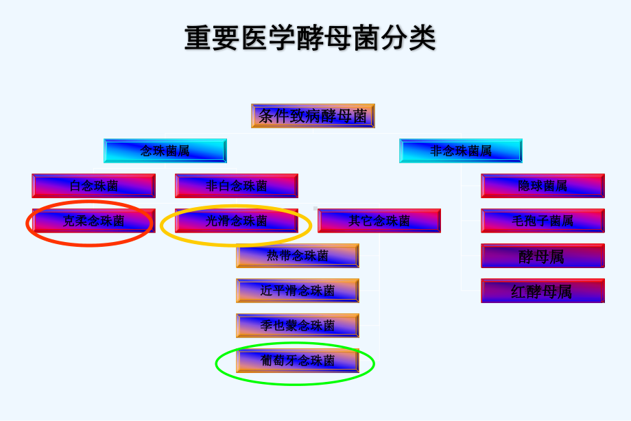 侵袭性念珠菌病临床诊断之认知(ppt)课件.ppt_第3页