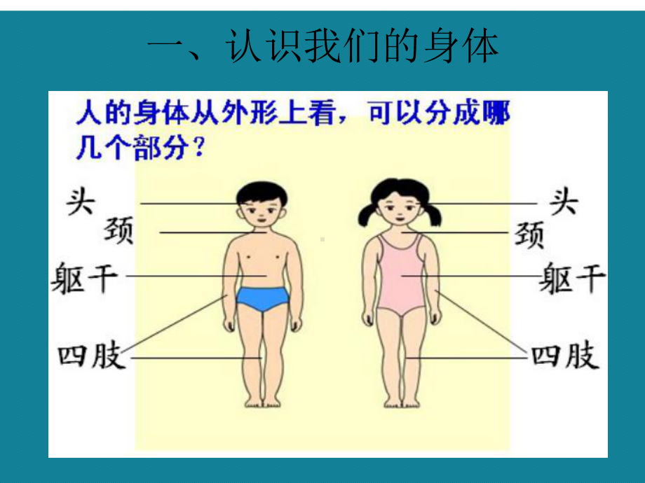 (优选)小学生生理卫生班会课件.ppt_第2页