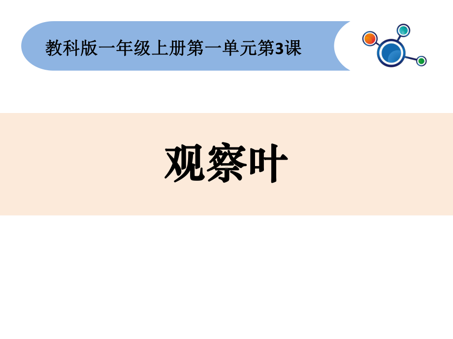 教科版一年级上册科学1.3《观察叶》课件.ppt_第1页