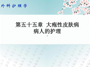 外科护理学配套光盘大疱性皮肤病病人的护理课件.ppt