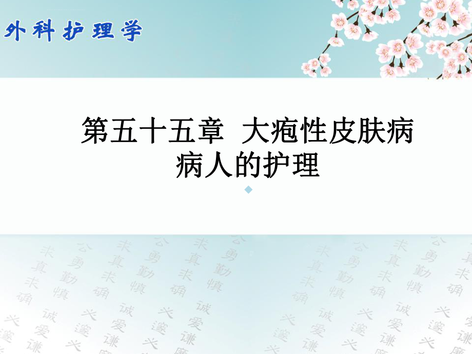 外科护理学配套光盘大疱性皮肤病病人的护理课件.ppt_第1页