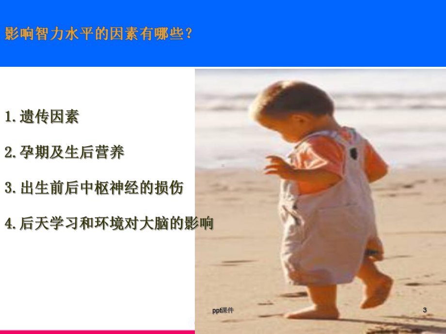 宝宝DHA大脑发育-ppt课件.ppt_第3页