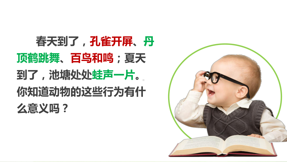 教科版三年级下册科学2.7《动物的繁殖》教学课件.ppt_第2页