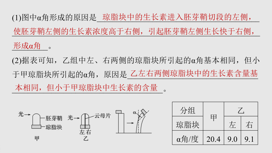 2022年高考生物一轮复习-热点题型-植物激素调节的相关实验探究课件.pptx_第2页