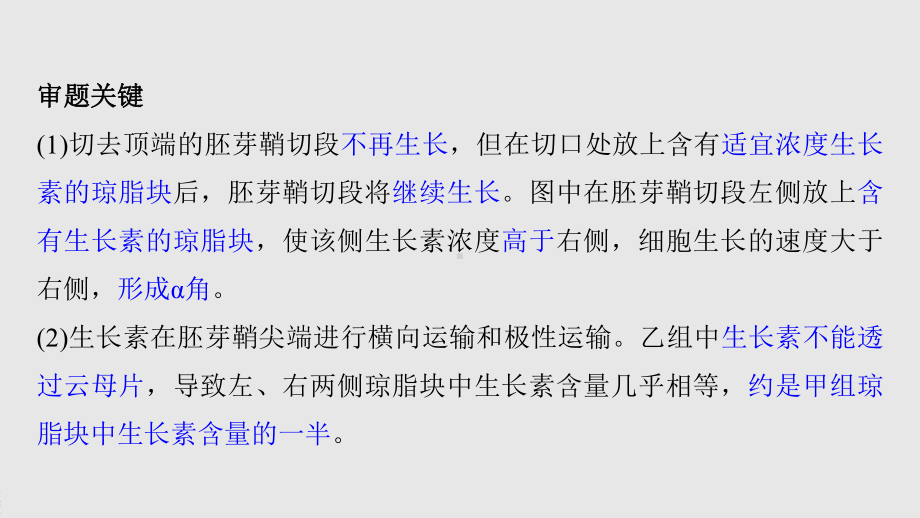 2022年高考生物一轮复习-热点题型-植物激素调节的相关实验探究课件.pptx_第3页